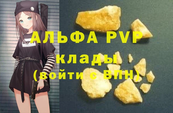 крисы Вязьма